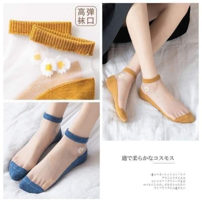 (Set 10) Vớ Ren Hoa Cúc (loại vớ lưới)