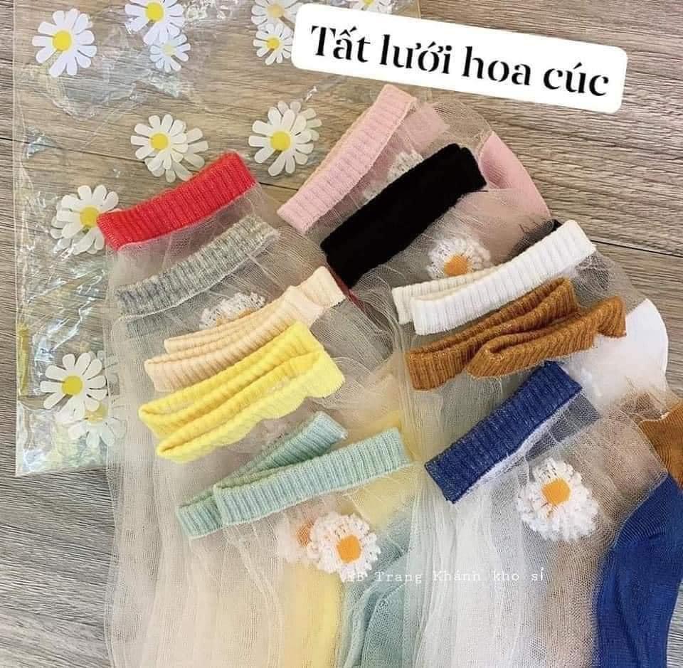 (Set 10) Vớ Ren Hoa Cúc (loại vớ lưới)