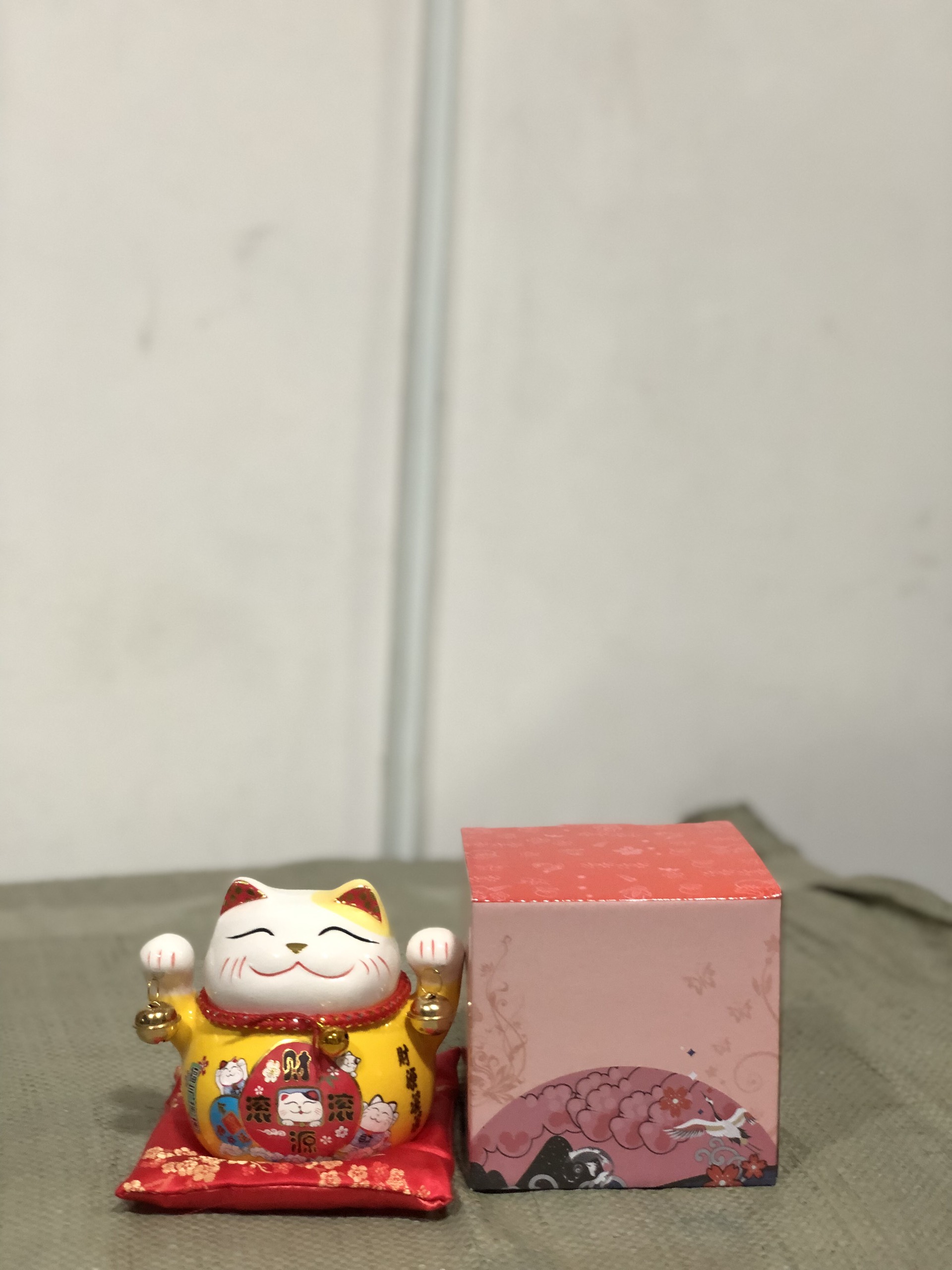 Mèo Thần Tài (Thùng 60)
