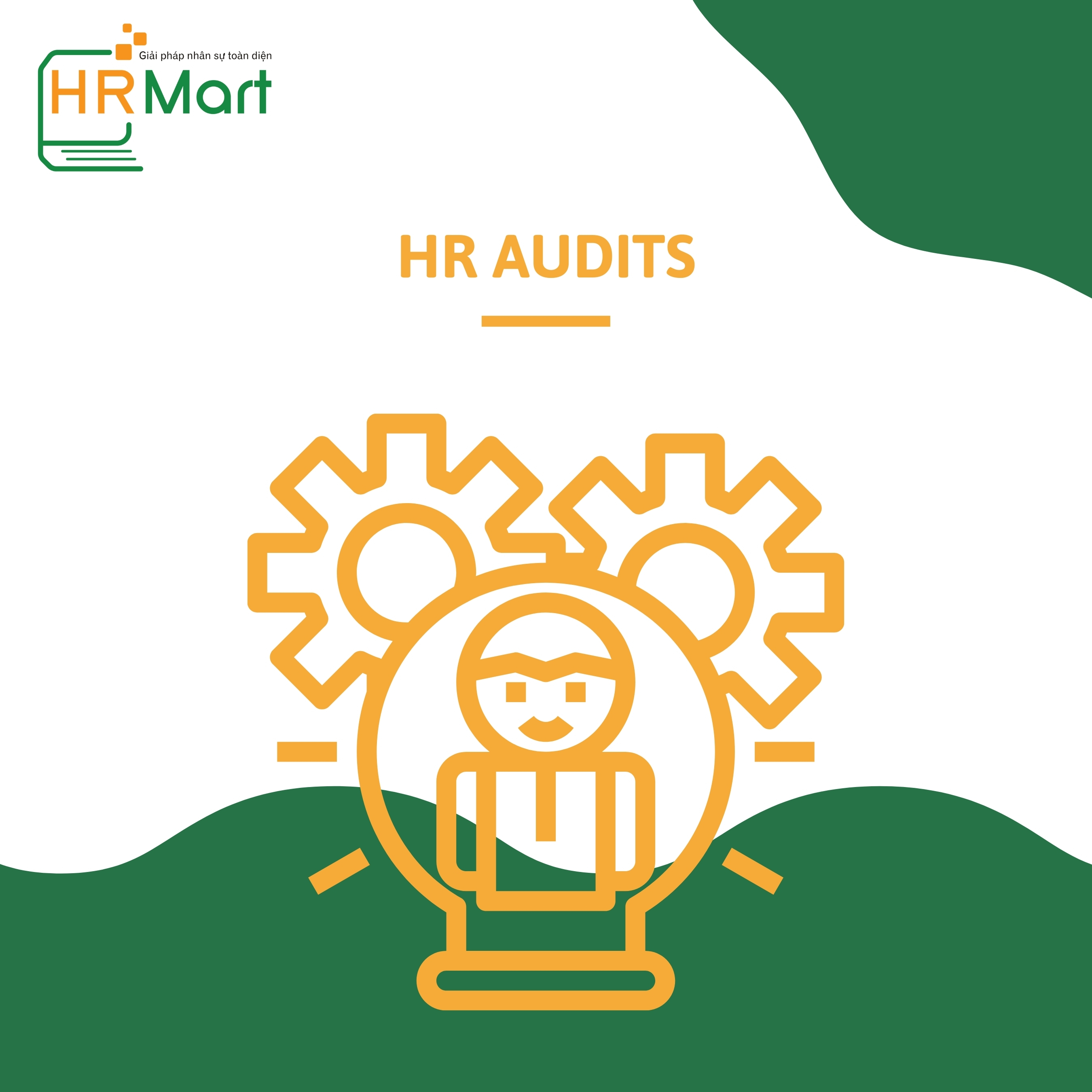 HR Audits