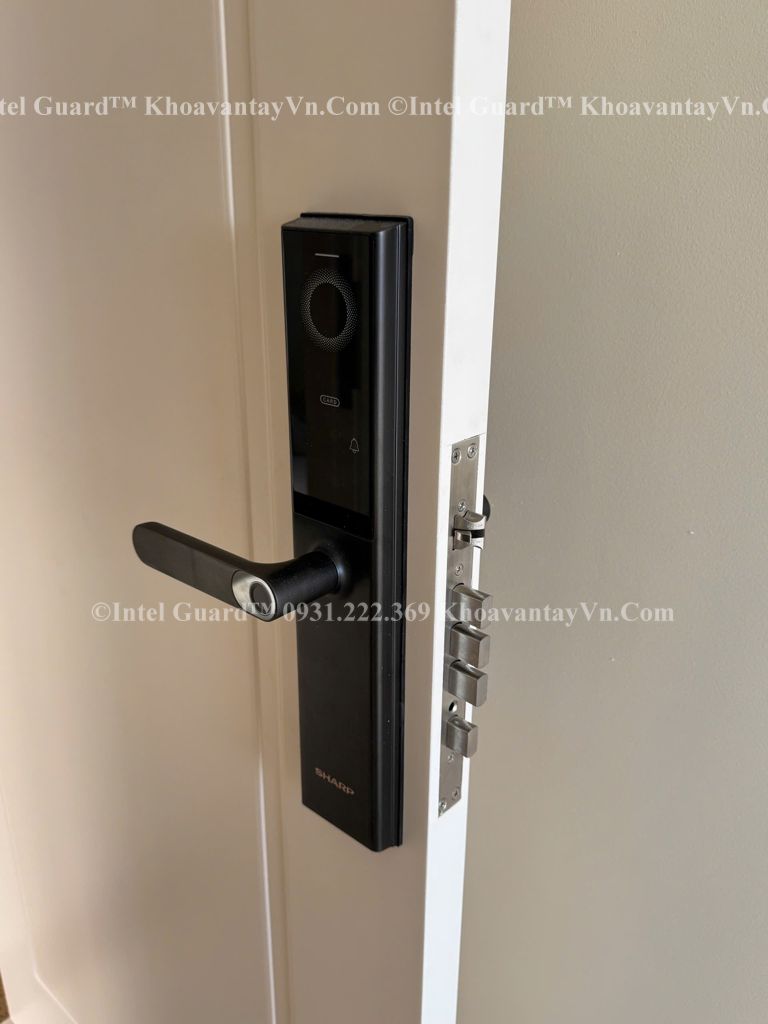 Khóa vân tay Sharp A3-B chính hãng tại Hải Phòng