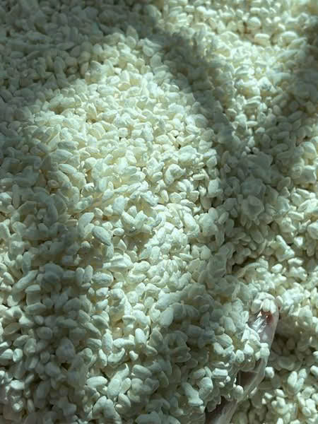 Gạo Koji