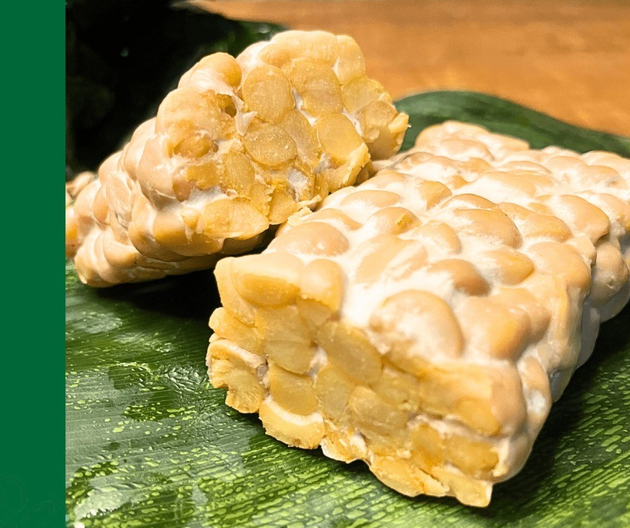 Tempeh tươi Loho - đậu gà non-gmo lên men 500gr