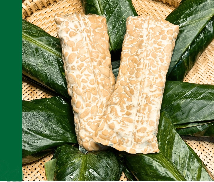 Tempeh tươi Loho- từ đậu nành vàng non-gmo lên men 500gr