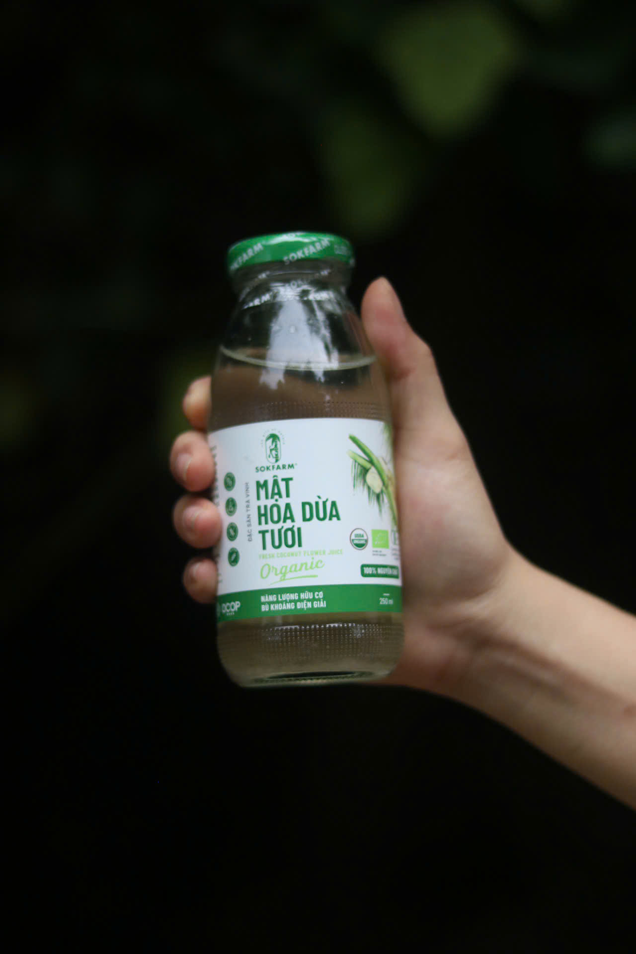 Mật hoa dừa tươi Organic Sokfarm