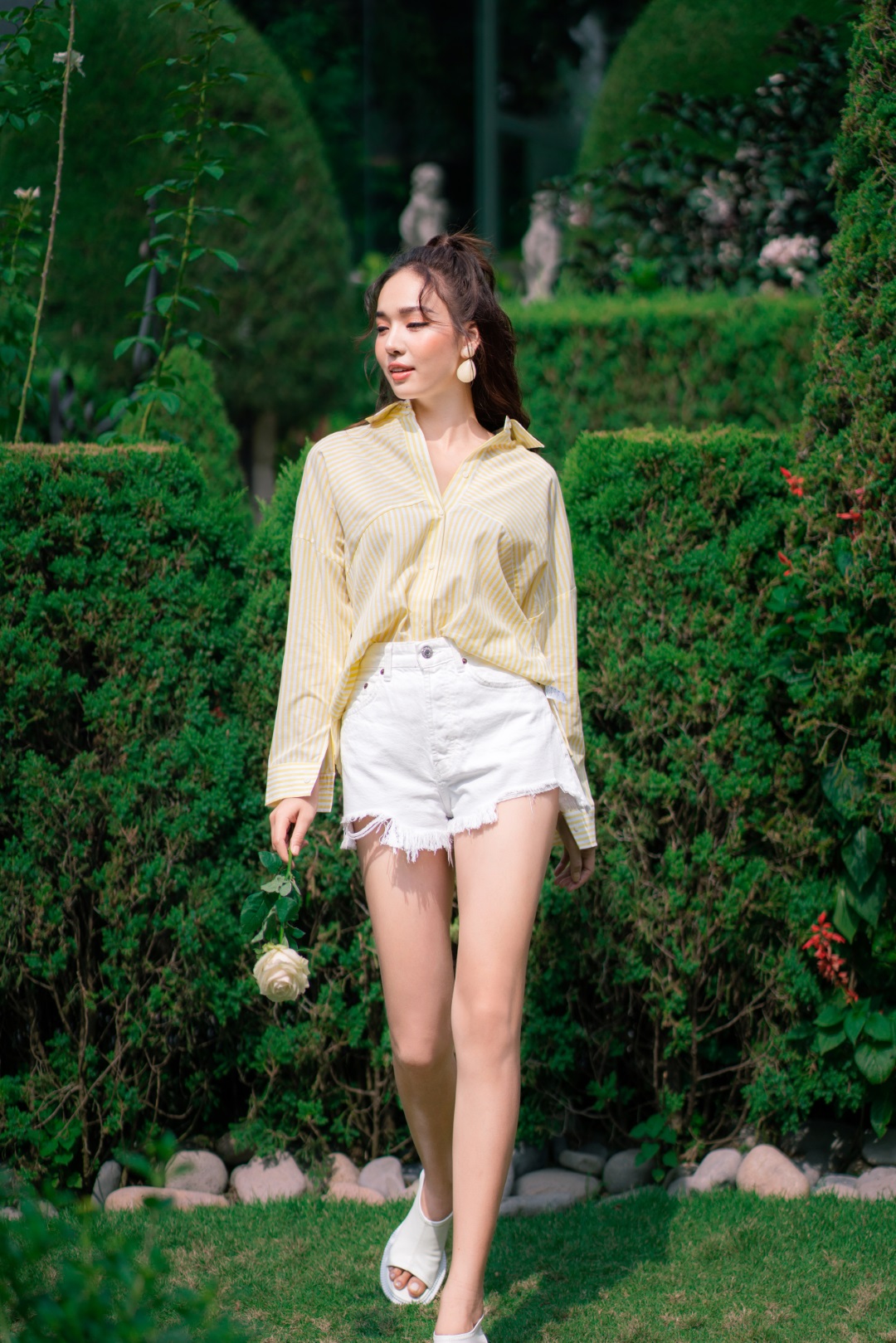 SƠ MI CÁNH DƠI KẺ VÀNG