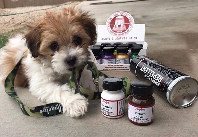 Bình xịt chống thấm nước và vết bẩn Angelus Water & Stain Repellent – 156 gr