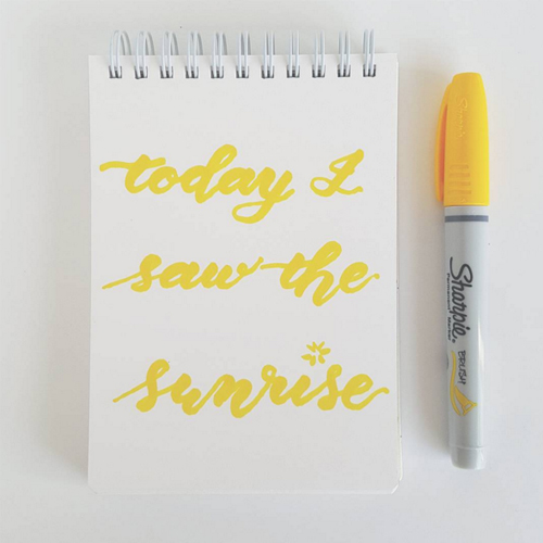 Bút lông dầu ngòi cọ vẽ đa chất liệu Sharpie Brush Tip 4.5mm (Cây lẻ)