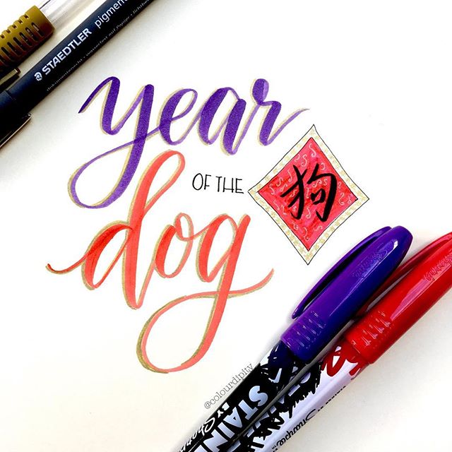 Vỉ 5 màu bút lông ngòi cọ vẽ vải chuyên dụng Sharpie Stained Fabric Markers