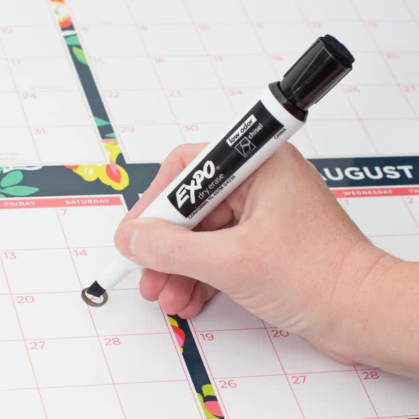Vỉ 12 cây bút lông viết bảng không mùi Expo Low Odor Dry Erase Markers (Xóa khô)