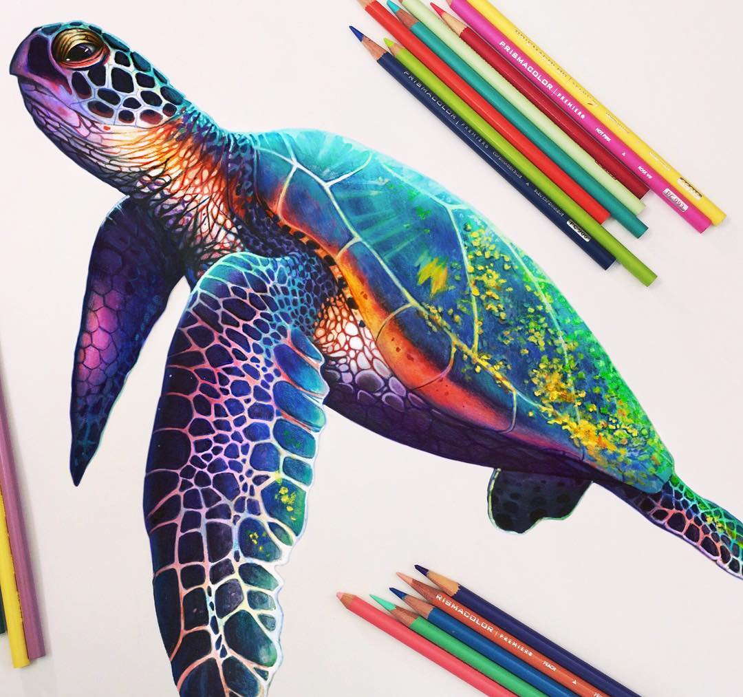 Hộp 12 bút chì màu vẽ đại dương Prismacolor Premier Under The Sea Colored Pencil