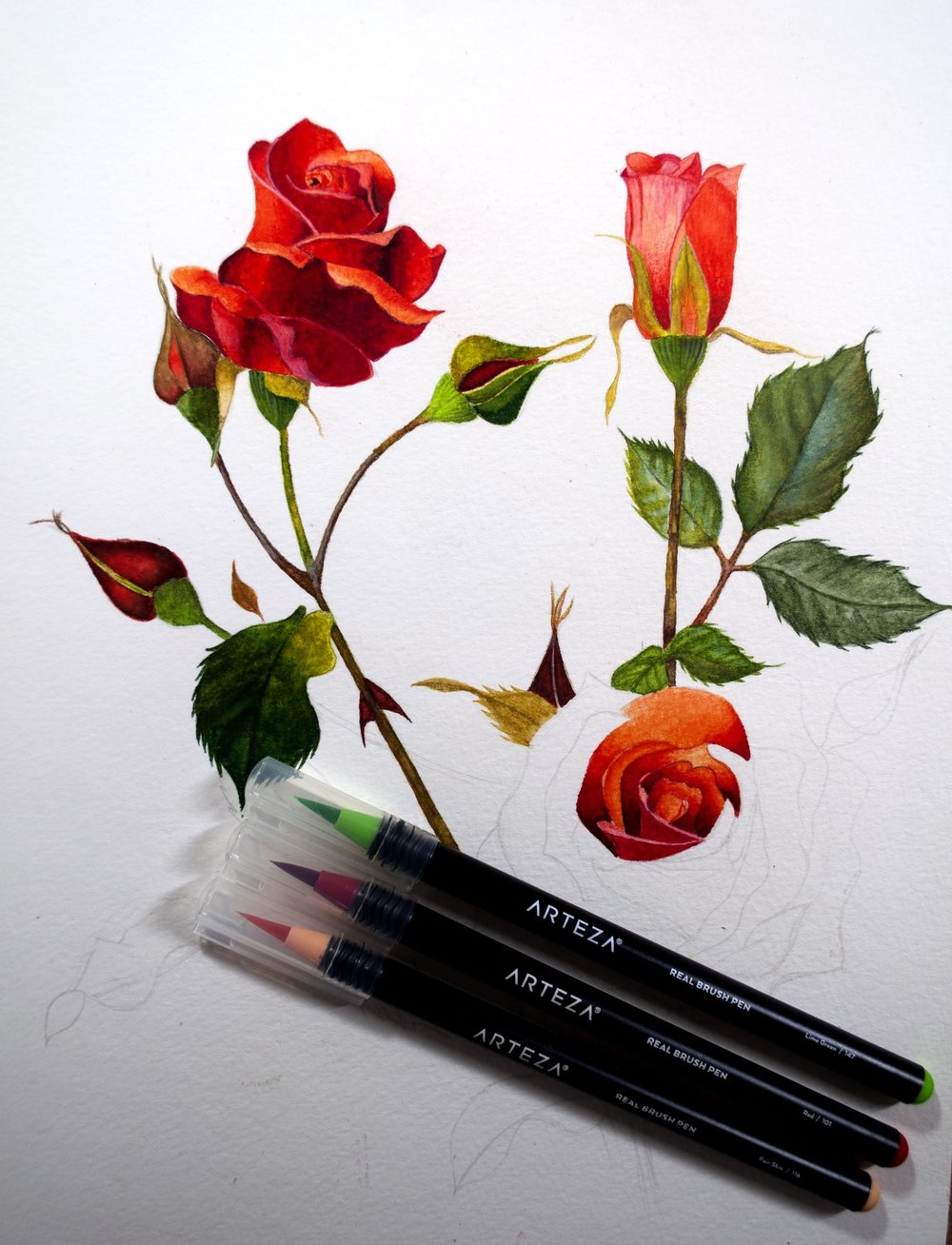 Bộ 48 cây bút lông màu ngòi cọ cao cấp Arteza Brush Pens (Hộp nhựa)
