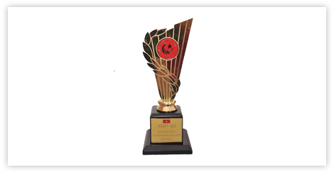 Thành tựu bánh tráng trộn Long An Cô Út