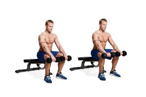 Bài tập Wrist Dumbbell Curls