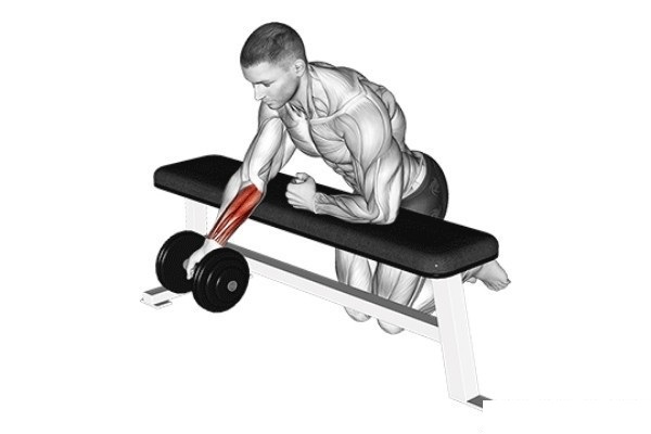 Bài tập Dumbbell one-arm reverse wrist curl