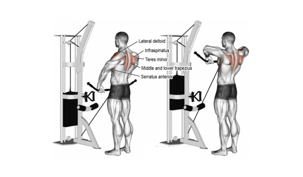 Bài tập kéo cáp - Cable Upright Row