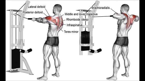 Đứng kéo cáp - Cable Rope Rear Delts Row