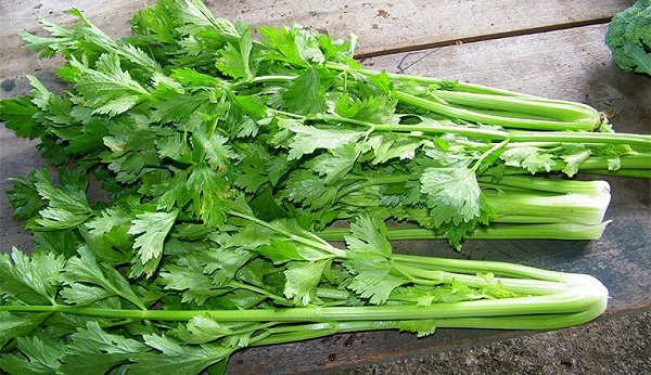 Vì sao cần tây giúp giảm mỡ bụng hiệu quả