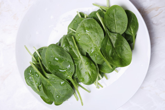 Thực phẩm bổ sung vitamin E
