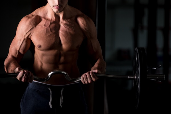 Leanbody là gì?