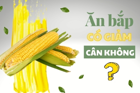 Ăn bắp ngô có giảm cân không? Dinh dưỡng có trong bắp ngô