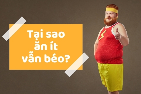 Tại sao ăn ít vẫn mập? Nguyên nhân và cách giảm cân