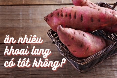 Ăn khoai lang nhiều có tốt không? Đổi bữa với các món từ khoai lang