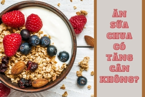Ăn sữa chua có tăng cân không? Cách ăn sữa chua giảm béo