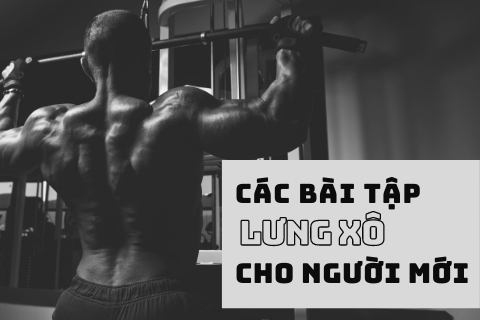 Các bài tập lưng xô cho người mới giúp lưng to và săn hơn