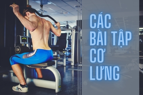 Các bài tập cơ lưng giúp nam giới sở hữu thân hình chữ V lý tưởng
