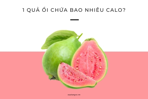 1 quả ổi chứa bao nhiêu calo? Cách ăn ổi giảm cân chuẩn