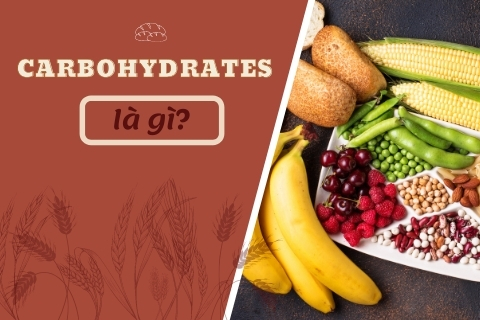 Carbohydrates là gì? Carbohydrate có trong thực phẩm nào?