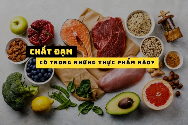 Chất đạm có trong những thực phẩm nào? 12 thực phẩm giàu đạm cho gymer