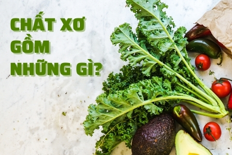 Chất xơ gồm những gì? Những loại thực phẩm giàu chất xơ