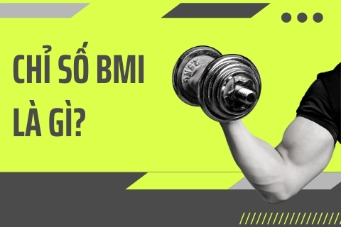 Chỉ số BMI là gì? Gymer nên đạt chỉ số BMI là bao nhiêu?