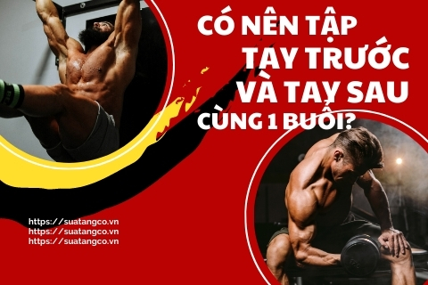 Có nên tập tay trước và tay sau cùng 1 buổi tập không?