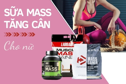 6 loại sữa mass tăng cân cho nữ tốt nhất tạm biệt cơ thể cò hương