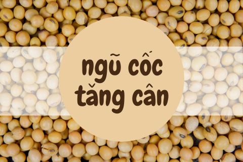 Ngũ cốc tăng cân: Giá cả vừa phải nhưng tác dụng không hề vừa phải