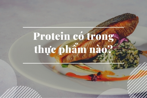 Protein có trong thực phẩm nào? Làm sao để bổ sung protein đúng cách?