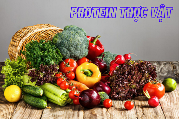 Protein thực vật có trong những loại thực phẩm nào?