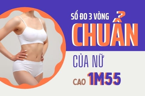 Số đo 3 vòng chuẩn của nữ cao 1m55 - Phương pháp tính số đo 3 vòng chuẩn