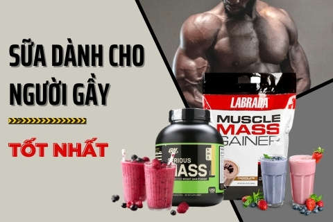 7 loại sữa dành cho người gầy tốt nhất hiệu quả nhanh bất ngờ