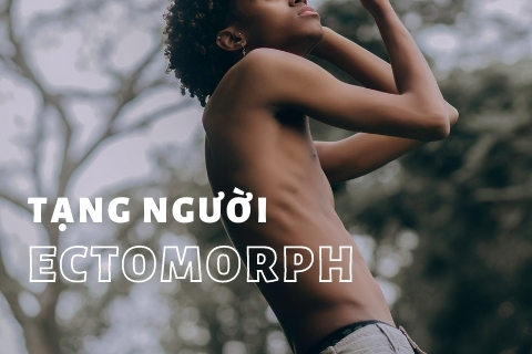 Tạng người Ectomorph: Chế độ ăn uống và sinh hoạt phù hợp
