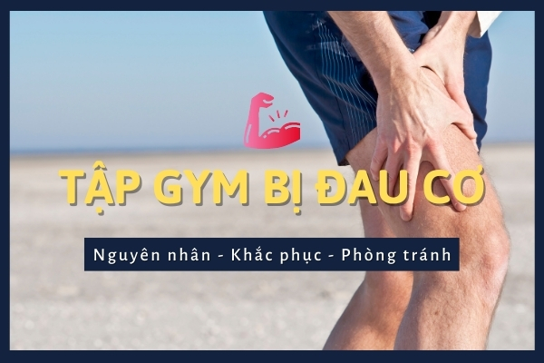 Tập gym bị đau cơ: Nguyên nhân, cách khắc phục và phòng tránh