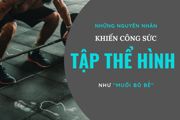 Nguyên nhân khiến công sức tập thể hình của bạn như “muối bỏ bể”