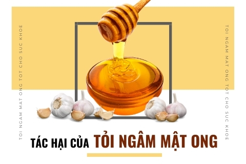 Tác hại của tỏi ngâm mật ong cần lưu ý để tránh “rước họa vào thân”