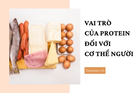 10 vai trò của protein đối với sức khỏe toàn diện của con người