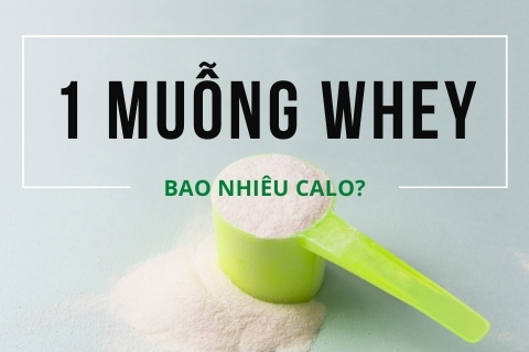 1 muỗng whey bao nhiêu calo? Hàm lượng dinh dưỡng trong whey protein