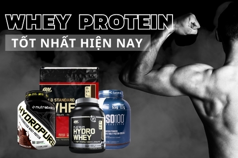 HLV thể hình nhận định 7 loại whey protein tốt nhất hiện nay