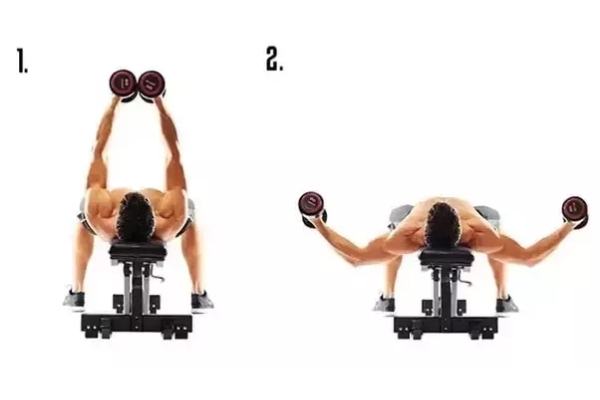 Chest fly